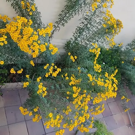 Casa Mo *