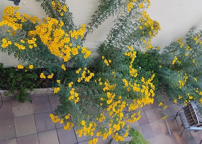 Casa Mo *