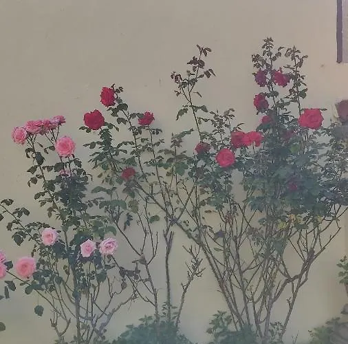 Casa Mo * ساباذيل
