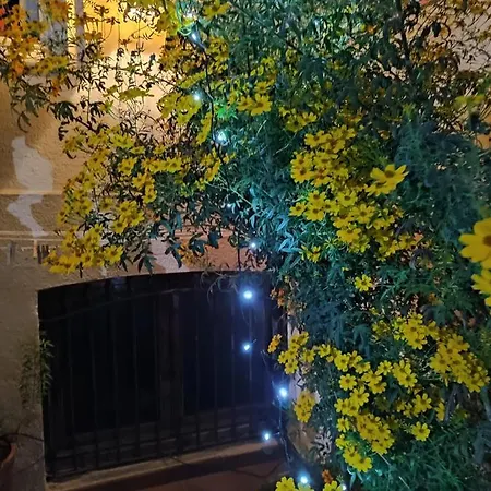 Casa Mo 사바델